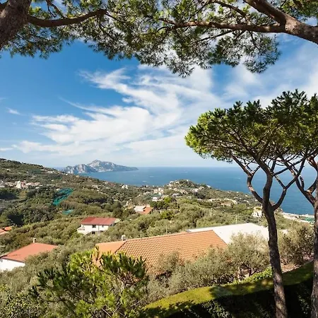 Sole Di Capri