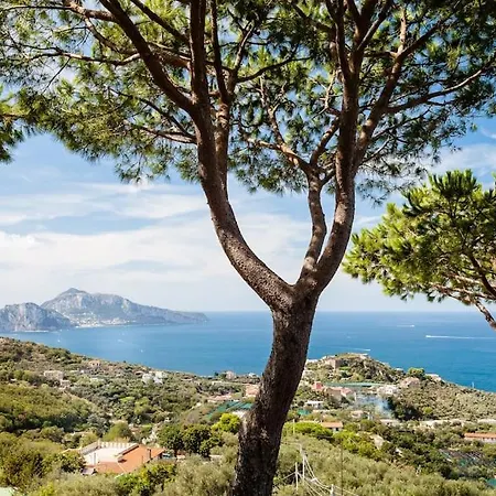 Sole Di Capri 마사루브렌세